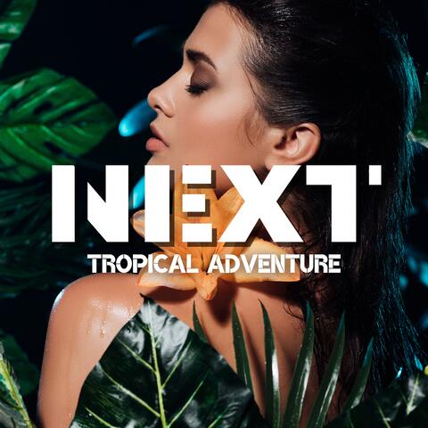 Next Tropical Adventure: Tropical House Music, Island-Inspired Basslines, Unforgettable Island Experiences