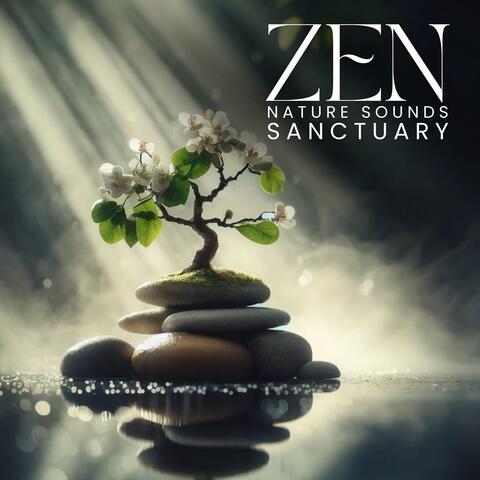 Zen Nature Sounds Sanctuary