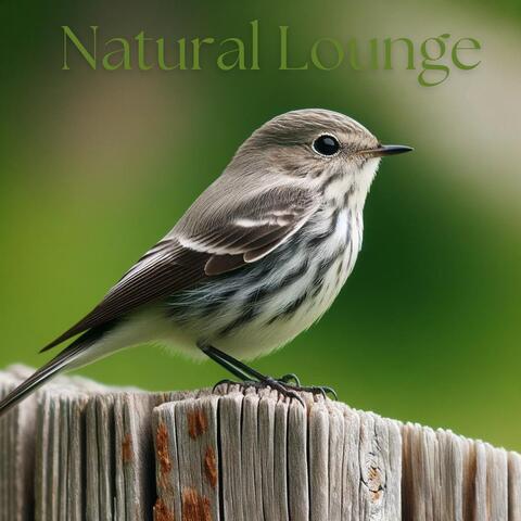Natural Lounge: Animal Affirmations
