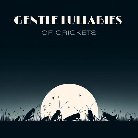 Gentle Lullabies of Crickets