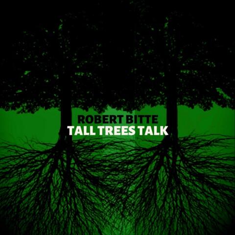 Tall Trees Talk