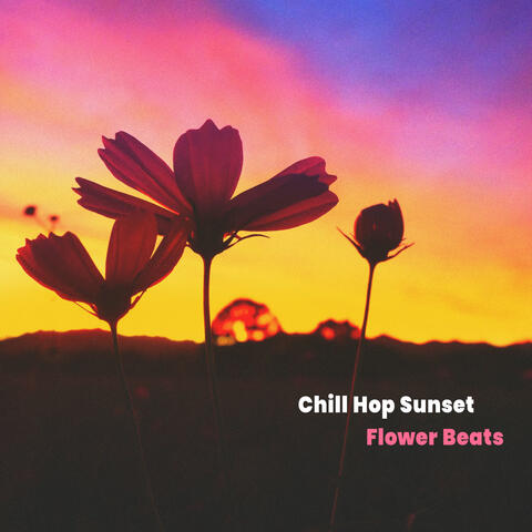 Chill Hop Sunset