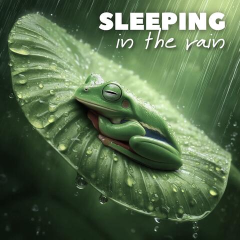 Sleeping in the Rain: Nightly Serenity for Insomnia