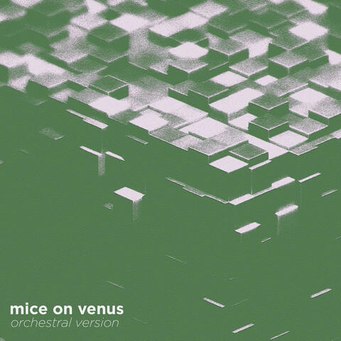 Mice On Venus