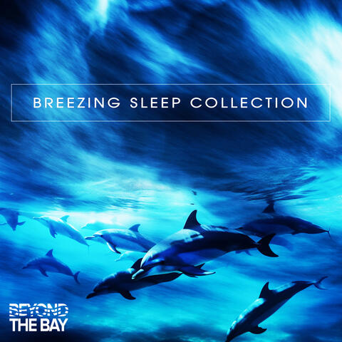 Breezing Sleep Collection