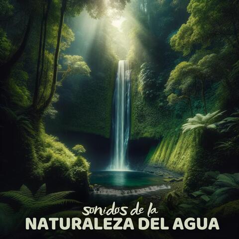 Sonidos de la Naturaleza del Agua: Relajación, Spa y Masajes, Música para Dormir