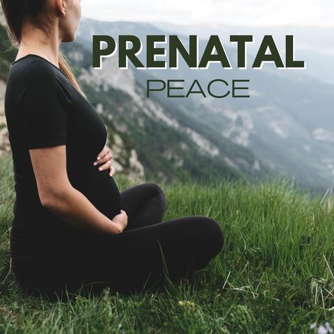 Prenatal Peace: Tranquil Tones for Inner Calmness
