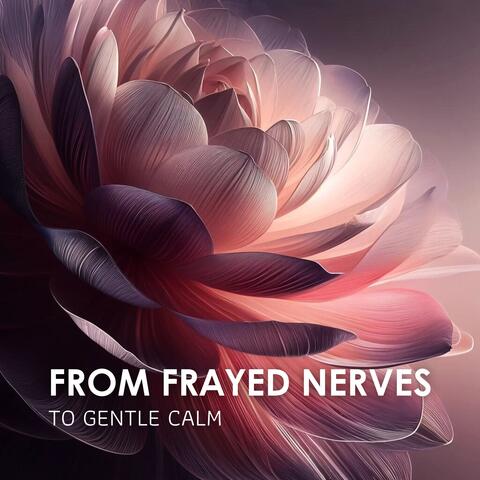 From Frayed Nerves to Gentle Calm: Soothe Your Anxieties and Find Refuge in Your Inner Sanctuary