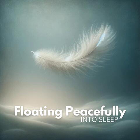 Soothing Slumber: Drifting Through Night in Calm Reverie