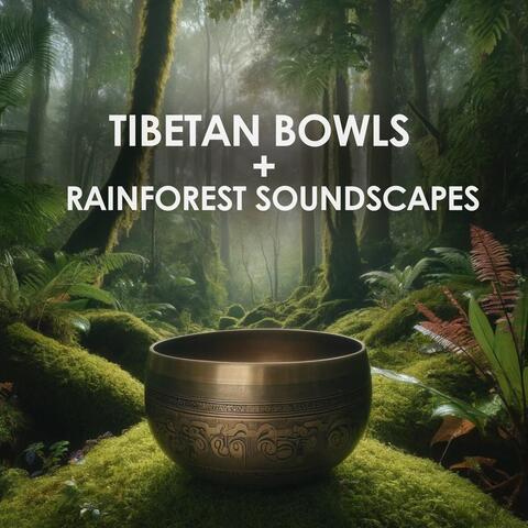 Tibetan Bowls + Rainforest Soundscapes