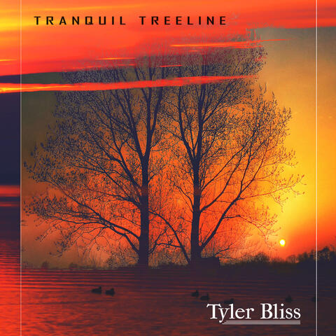 Tranquil Treeline