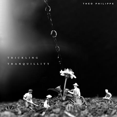Trickling Tranquillity