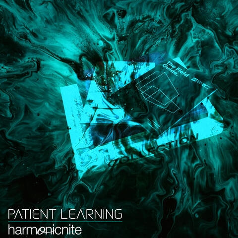 Patient Learning