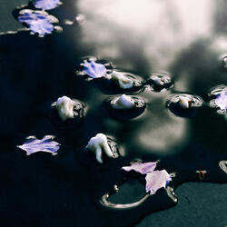 Release -ϕ