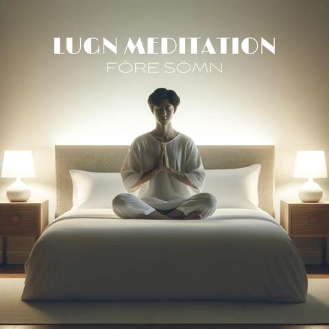 Lugn Meditation före Sömn