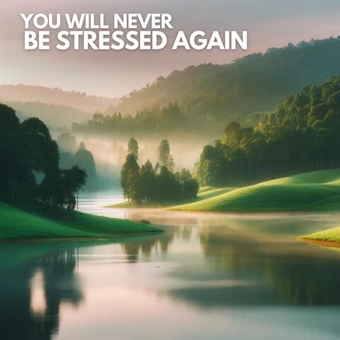 You Will Never Be Stressed Again