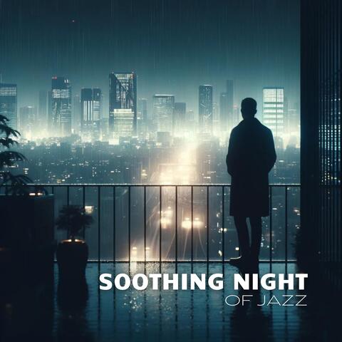 Night's Music Zone