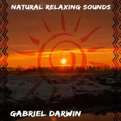 Natural Relaxing Sounds
