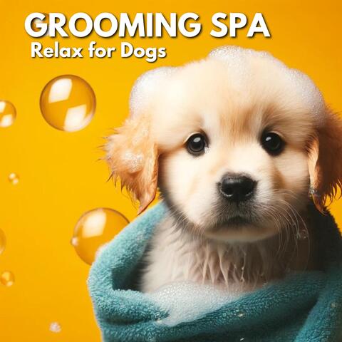 Grooming Spa Relax for Dogs