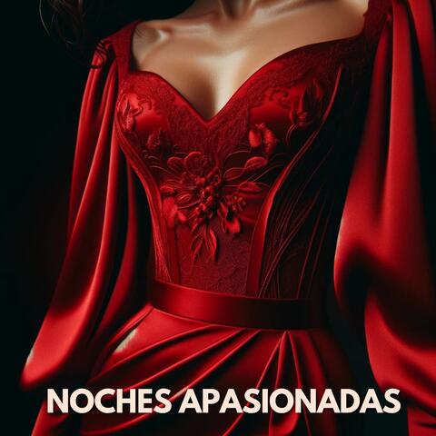 Noches Apasionadas: Bossa Nova Romantic Collection