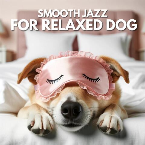 Smooth Jazz for Relaxed Dog