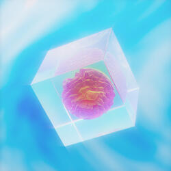 Desert rose