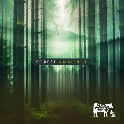 Forest Ambience