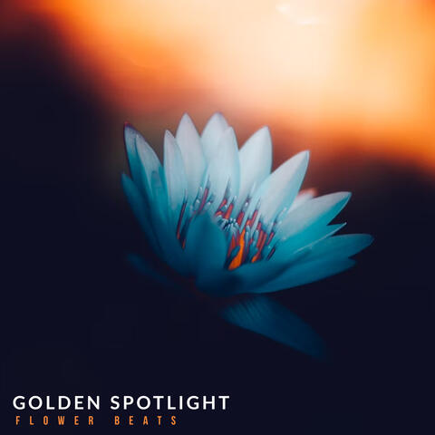 Golden Spotlight