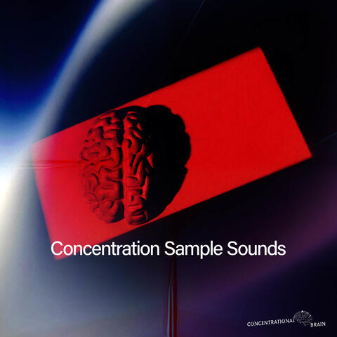 Concentration Sample Sounds