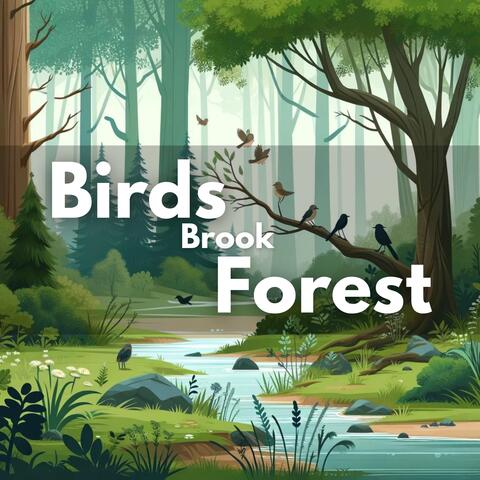 Birds Brook Forest: Nature Serenity, Calm Environment, Tranquil Woods