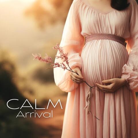 Calm Arrival: Peaceful Experience, Joyful Delivery, Tranquility-Free Labor