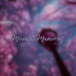 Moonlit Memories