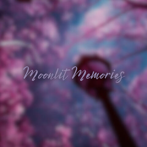 Moonlit Memories