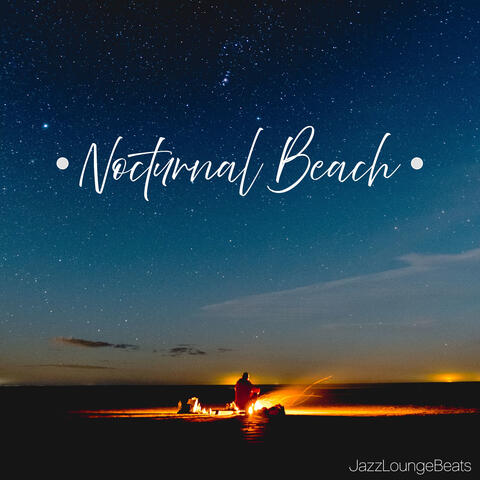 Nocturnal Beach