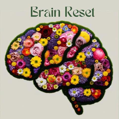 Brain Reset: Meditative Relaxation for Knowledge Assimilation