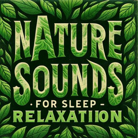 Nature Sounds for Sleep Relaxation