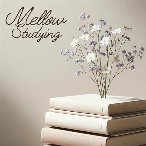 Mellow Studying: Calm Mind and Brain Relaxation
