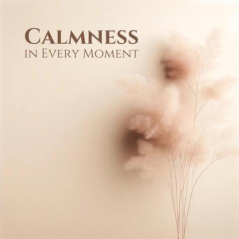 Calmness in Every Moment: Unwind Your Mind, Ease Your Soul