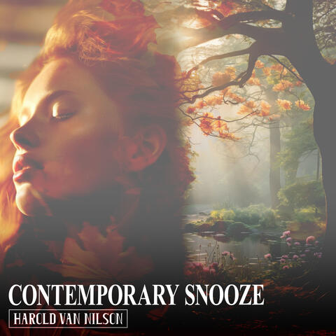 Contemporary Snooze