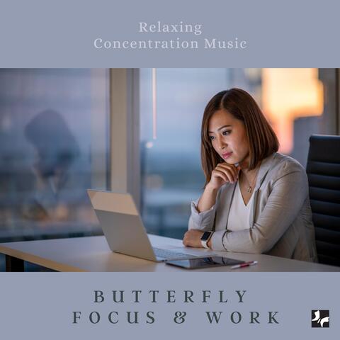 Relaxing Concentration Music