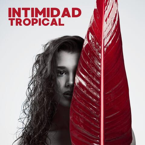 Intimidad Tropical: Bossa Nova Sensual Collection