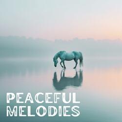 Daydreaming Background Music