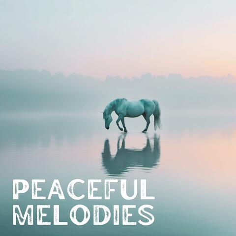 Peaceful Melodies: Ultimate Relaxation and Tranquility Soundtrack