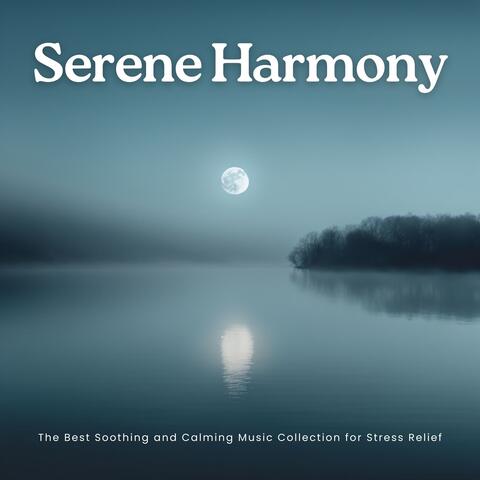 Serene Harmony: The Best Soothing and Calming Music Collection for Stress Relief