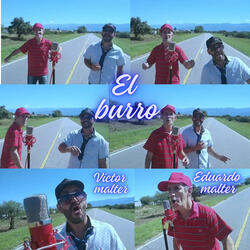 EL BURRO