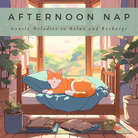 Afternoon Nap: Gentle Melodies to Relax and Recharge