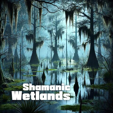 Shamanic Wetlands: Nature, Flute and Drums Sounds