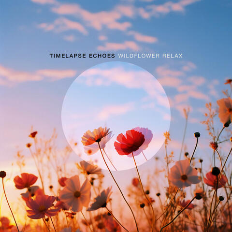 Timelapse Echoes