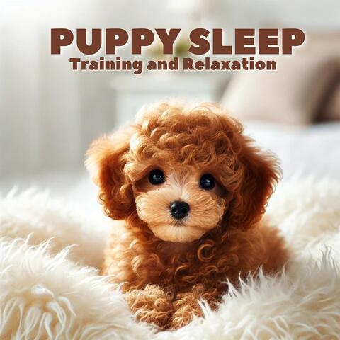 Puppy Sleep Training and Relaxation