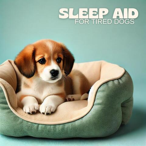 Sleep Aid for Tired Dogs